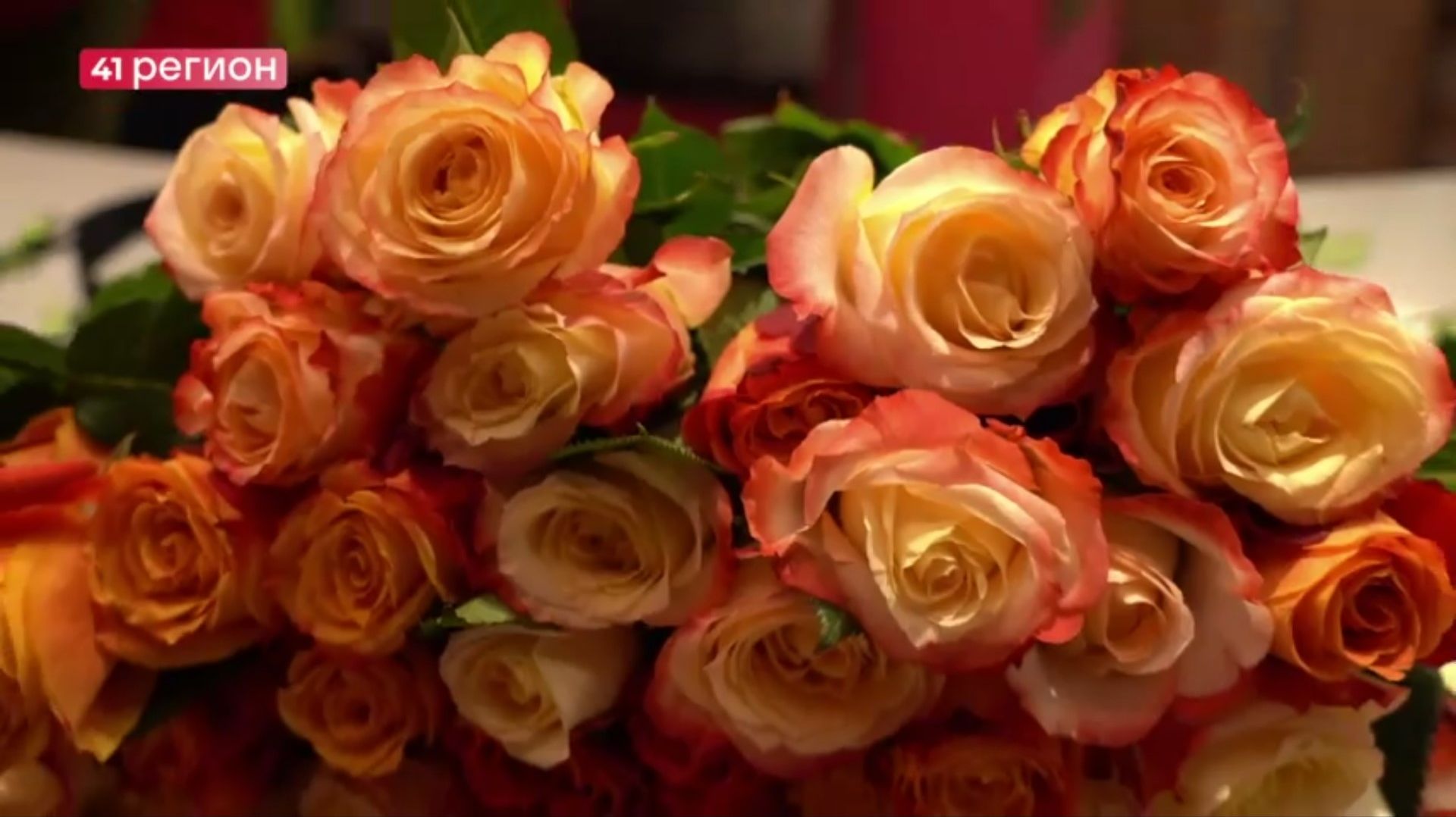 Новости Камчатки за 4 марта 2026 года