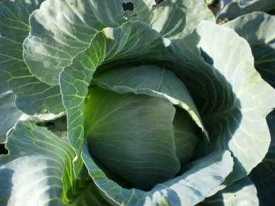 ������� ������� �������: ��� �������� ������ � �������� ������� ������