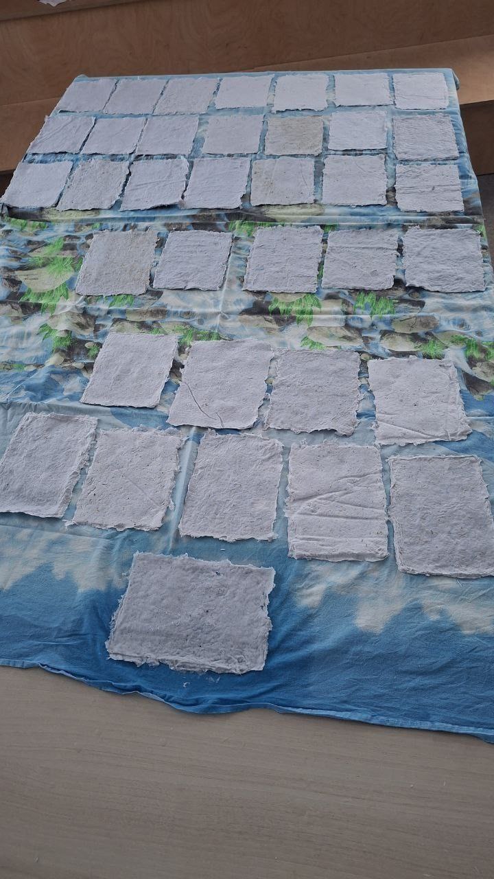 Камчатские заповедники в режиме энергосбережения Камчатские заповедники в режиме энергосбережения