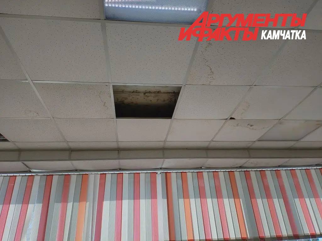 Стены трещат: родители учеников 31-й школы в Петропавловске бьют тревогу Стены трещат: родители учеников 31-й школы в Петропавловске бьют тревогу