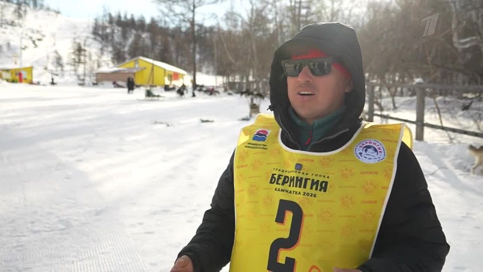 Традиционная гонка на собачьих упряжках «Берингия» проходит на Камчатке