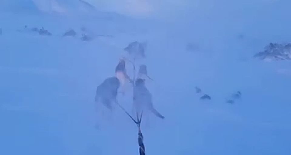 Фильмы о Камчатке вошли в список победителей 3-го сезона Всероссийского конкурса «Дальний Восток – Земля приключений» Вот имена героев и регионы, вдохновившие их на победу: Номинация «Зимнее путешествие»