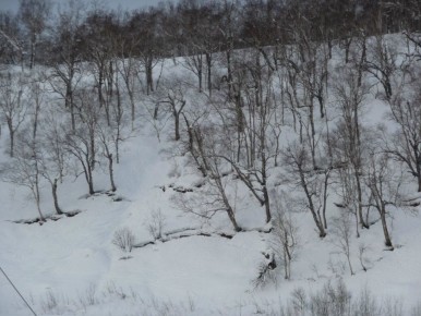 ���������� ��������� �������� ���������!