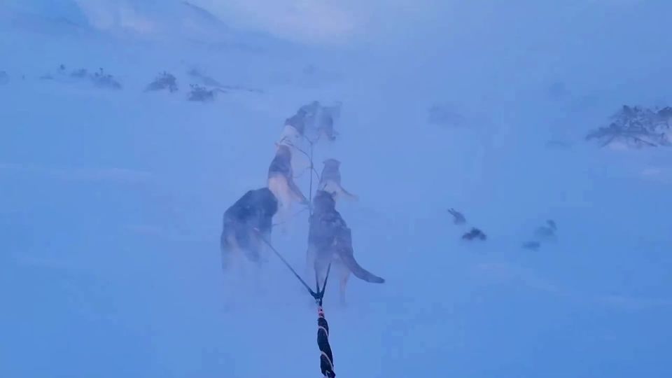 Камчатка - лучшее место для зимних приключений!