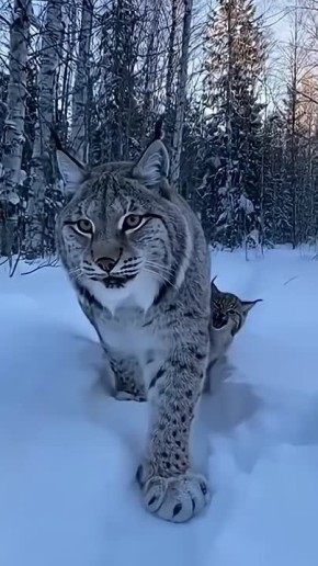 ����� ������� ���� �������, � ���� ���� �� ���� ������������: � �����?