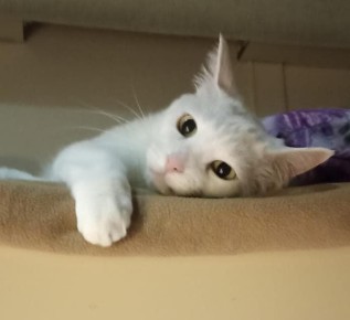 12 ��� ����� ��������� �������: ������ ���� ����� ���