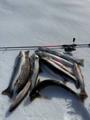 ����� ��� �����������!. � ������� ���� ����� �� ��������� ����� ������������ ������� �� ��������