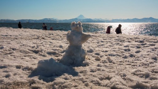 ������ ������ � ������ �� 35 �/� ����������� �� ��������