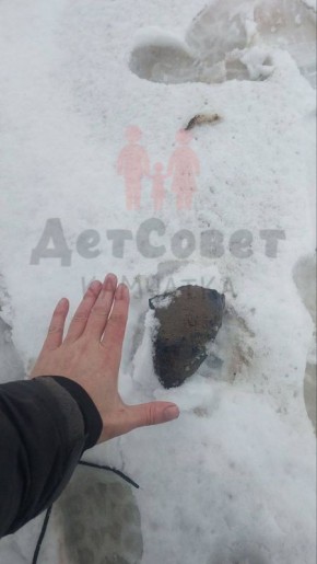 � ������� �������� ����������� ������� ���