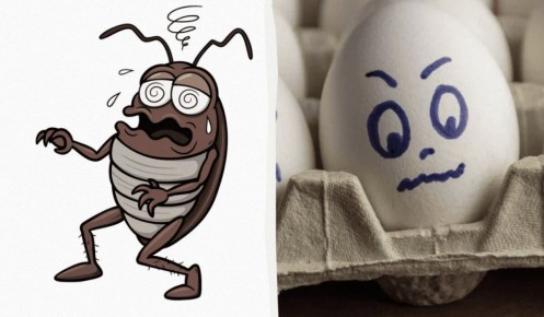 ��� ������ ���������� � ������� ����������: ����������� ������ ������