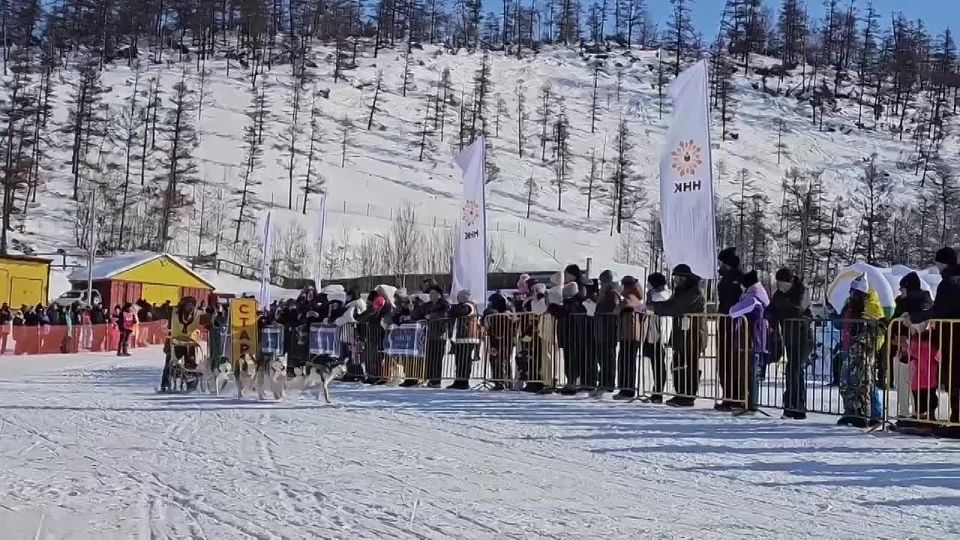 ����� ����: ������! � ������� #������������������ � �������� � ��������, ��� � 1 �� 20 ����� �������� ����� �� �������� �������� ��������� � 2026�