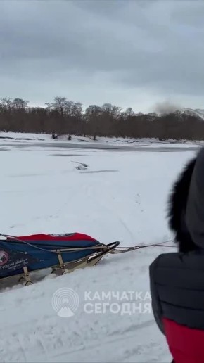 ���������� ���������-2026� ��������� �� ������