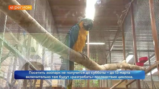 ���������� ������� �������� ������� ��-�� ��������