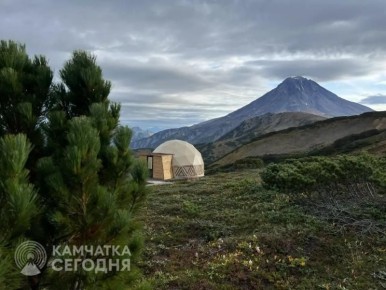 ����� ����������� �������� � ������� ��������