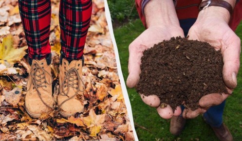 ��� �� ��� ������ �������� ������� �� ������� �������