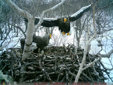 � ������� �������. ������ ����� ��. ������ ������� ��������� � ���������� ���������� ����� 800 �� ����