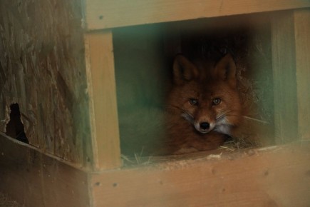 ������� � ������� ������� ��-�� ��������