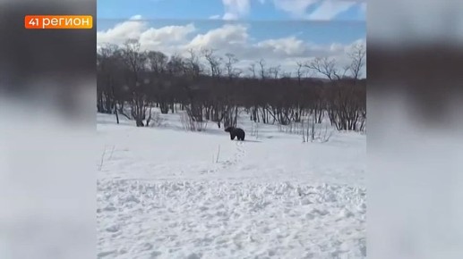 ������ �������� �� ������ �� ��������� �������� ������������� ������� � ��� ������������