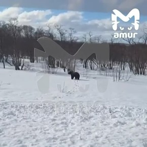 ������� ��������� �� ��������, �������� �� ���� �����