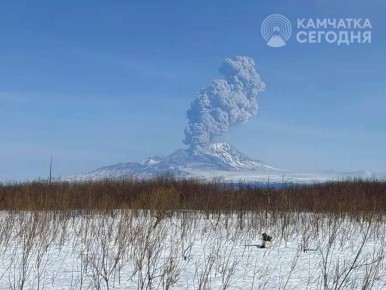 ������ ������� �� �������� �������� ����� �� 8 ���������� � ������