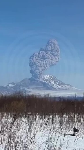 ������ ����������. ����� ������ ����������� ������ �������