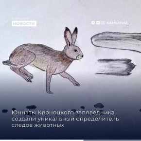 Хорошие новости с 9 по 15 марта