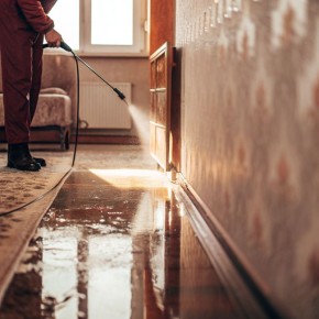 ������ ����������� ����� ���������� � ����� �������� ������ ����