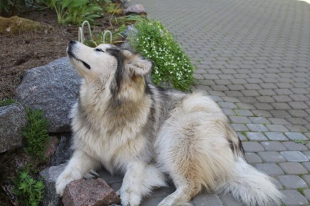 ��������� ������������ � �����: ���� � ���������� �����