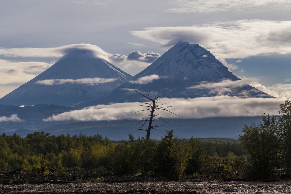 ���������� �������� � ��������������-���������� ������� ��������� � ������ ������ �������