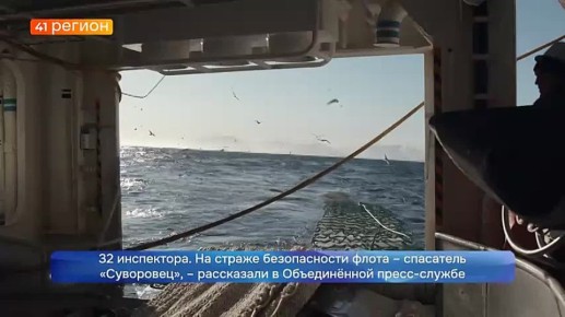 Рыбаки-дальневосточники добыли 146,5 тысячи тонн сельди