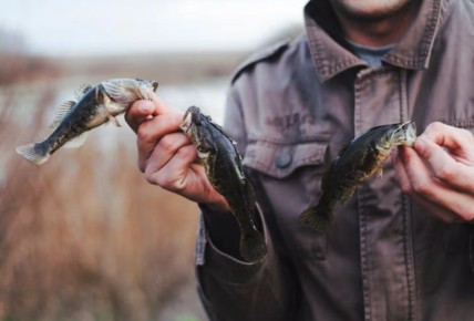 �������� ���������� ��������� ������� �������� ������ � ��������