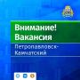 Внимание! Вакансия!. . В Управление культуры, спорта и молодежной политики администрации Петропавловск-Камчатского городского округа требуется: На время отсутствия основного работника главный специалист-эксперт отдела...