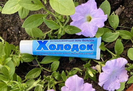 Почему все говорят об успокаивающем геле Холодок