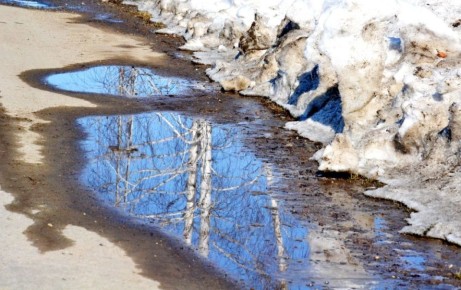 ������������� ����� ������ �� �������� �� 40 ���� ������ � ����� �� ����������� ����������� ������ ����������� �����