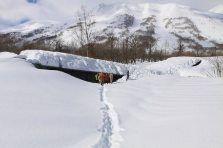 ���������� ���� � ������������ ������� �� �������� ��������� ��� �������� �����