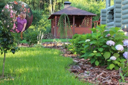 Как начать ландшафтный проект на старой даче: шаг за шагом к идеальному саду