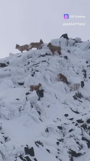 ������� ������ ����� � ����� ������� ����� ���������