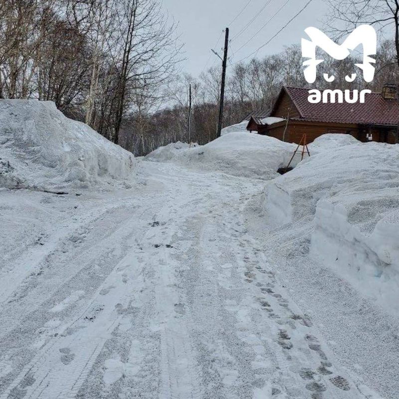 ������ ������� ������� ������ ���� ������� �� ��������