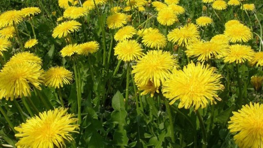 ��� �������� ����������� � ���� ����?