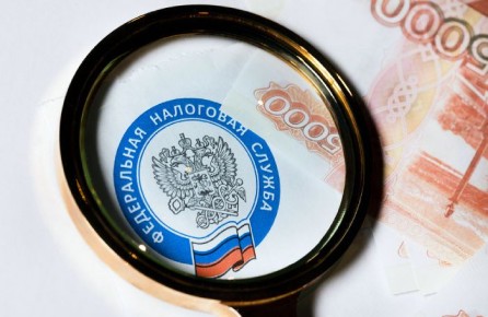 Как налоговые меры помогают сократить теневую занятость в России?