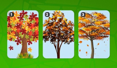 ��� �� ������������� ������: ���� �� ������� �����������