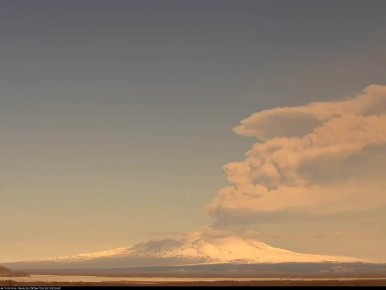 ������� ���������� ���������� ���� ����