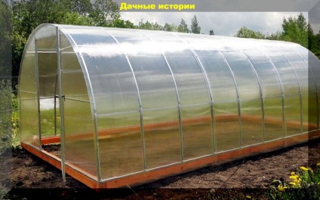 ����� � ����: ������� ������ ����������� � ������