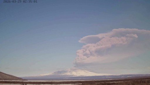 Вулкан Шивелуч на Камчатке заволновался