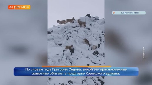 ������� ������� ��������� ������� �� ��������� ������� �� ���������� ��������