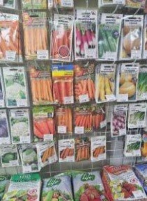 �������, ������� � ��� ��� ������: � ��������� �������������� ����� 20 ������ ����� ��� ����������