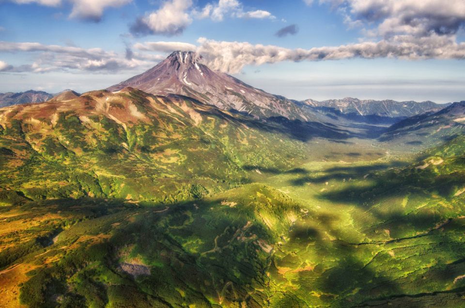 : прокуратура подала иск в защиту ребенка, пострадавшего в результате нападения бездомной собаки