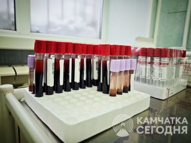 ������ ������ ������� ����������� � �������������� ���������