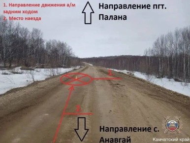 На Камчатке пьяный водитель сбил насмерть пешехода на зимнике