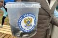 Мальков лосося на Камчатке предлагают выпускать в водоёмы без лишних переездов и стресса
